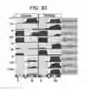 Fig. 08 - ALKB -FACILITATED RNA METHYLATION SEQUENCING (ARM-SEQ)
