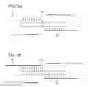 Fig. 07 - Enzymatic methods for genotyping on arrays