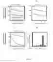 Fig. 09 - IMAGING INDIVIDUAL MRNA MOLECULES USING MULTIPLE SINGLY LABELED PROBES