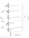 Fig. 10 - Nucleic acid sequencing with nanoscale electrode pairs