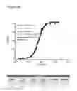 Fig. 06 - Therapeutic and diagnostic methods for IL-33-mediated disorders