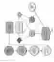 Fig. 08 - Characterizing Gastro-Intestinal Disease