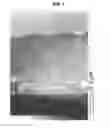 Fig. 02 - Quasicrystal-containing plated steel sheet and method for producing quasicrystal-containing plated steel sheet