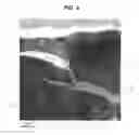 Fig. 07 - Quasicrystal-containing plated steel sheet and method for producing quasicrystal-containing plated steel sheet