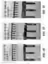 Fig. 05 - Methods of electrochemical deposition for void-free gap fill