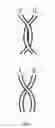 Fig. 02 - Reinforced electrospun fibrous membrane and preparation method thereof