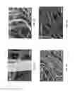 Fig. 06 - Method to produce micro and nanofibers with controlled diameter and large yield