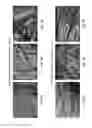 Fig. 08 - Laser-Treated Fabric