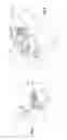 Fig. 02 - DAMPENING DEVICE