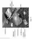 Fig. 26 - Sorption-based atmospheric water harvesting device