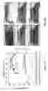Fig. 33 - Sorption-based atmospheric water harvesting device