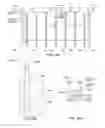 Fig. 41 - PRECAST WALL PANELS AND METHOD OF ERECTING A HIGH-RISE BUILDING USING THE PANELS