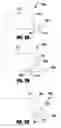 Fig. 07 - Building material cladding components and methods