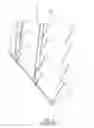 Fig. 03 - Window blind
