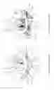 Fig. 09 - Braking device, and shielding device using same