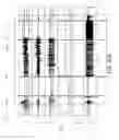 Fig. 46 - Sensor device, systems, and methods for identifying leaks in a fluid conduit