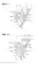 Fig. 08 - Lubrication structure and lubrication method for upper pin in piston crank mechanism of internal combustion engine