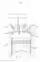 Fig. 02 - Method for cleaning injectors of a direct-injection controlled-ignition engine