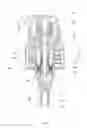 Fig. 10 - Check valve for pump