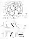 Fig. 02 - Centrifugal pump with adaptive pump stages