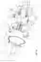 Fig. 10 - Multi-piece canister assembly for magnetically coupled fluid handling devices