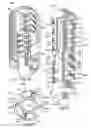 Fig. 11 - Butterfly rotary piston type actuator