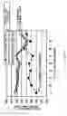 Fig. 24 - PLUNGER MEMBER USED FOR BELT TYPE CONTINUOUSLY VARIABLE TRANSMISSION