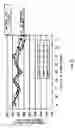 Fig. 28 - PLUNGER MEMBER USED FOR BELT TYPE CONTINUOUSLY VARIABLE TRANSMISSION