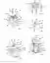 Fig. 02 - Spacer nut