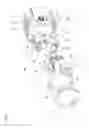 Fig. 04 - Vehicle lamp