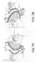 Fig. 08 - Magnetic Device for Holding a Firearm