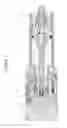 Fig. 02 - Compressed gas personal protection device