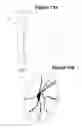 Fig. 30 - Compressed gas personal protection device