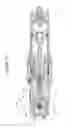 Fig. 40 - Compressed gas personal protection device