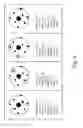 Fig. 09 - Shooting game for multiple players with dynamic shot position recognition on a paper target
