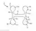 Fig. 01 - Walking target