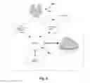 Fig. 07 - Geo-location tracking system and method