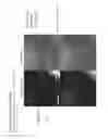 Fig. 08 - Optical imaging system using lateral illumination for digital assays