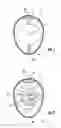 Fig. 02 - Light controlling assembly for an egg identification system, and associated method