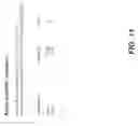 Fig. 12 - Classification of soil texture and content by near-infrared spectroscopy