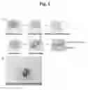 Fig. 02 - HYDROGEL-BASED MICROFLUIDIC CHIP FOR CO-CULTURING CELLS