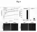 Fig. 07 - HYDROGEL-BASED MICROFLUIDIC CHIP FOR CO-CULTURING CELLS