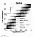 Fig. 131 - SYSTEMS AND METHODS FOR PREDICTING CARDIOTOXICITY OF MOLECULAR PARAMETERS OF A COMPOUND BASED ON MACHINE LEARNING ALGORITHMS