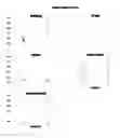 Fig. 87 - SYSTEMS AND METHODS FOR PREDICTING CARDIOTOXICITY OF MOLECULAR PARAMETERS OF A COMPOUND BASED ON MACHINE LEARNING ALGORITHMS