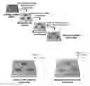 Fig. 01 - ENGINEERED MODEL OF FIBROTIC DISEASES