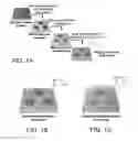 Fig. 02 - ENGINEERED MODEL OF FIBROTIC DISEASES