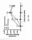 Fig. 28 - ENGINEERED MODEL OF FIBROTIC DISEASES