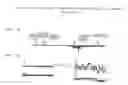Fig. 10 - METHODS FOR TREATING NEURAL CELL SWELLING