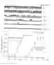 Fig. 12 - METHODS FOR TREATING NEURAL CELL SWELLING