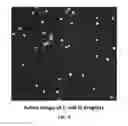 Fig. 06 - Compositions and methods for disease diagnosis using single cell analysis